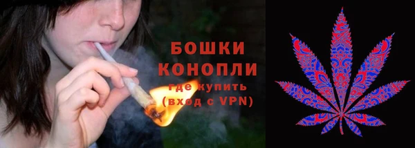 дурь Арсеньев