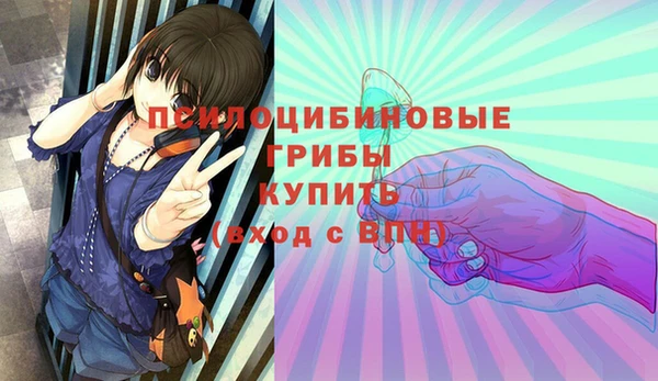 дурь Арсеньев
