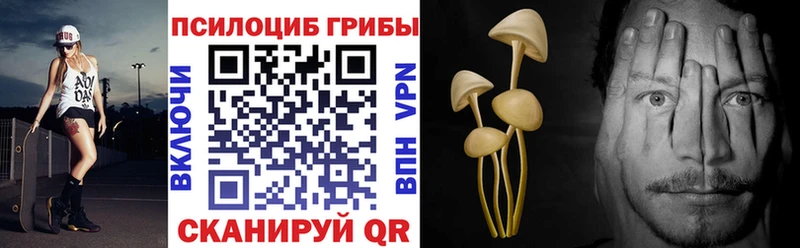 что такое   Старая Купавна  Псилоцибиновые грибы прущие грибы 